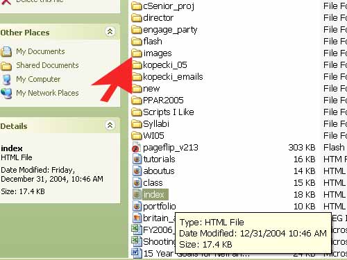 folder view of files